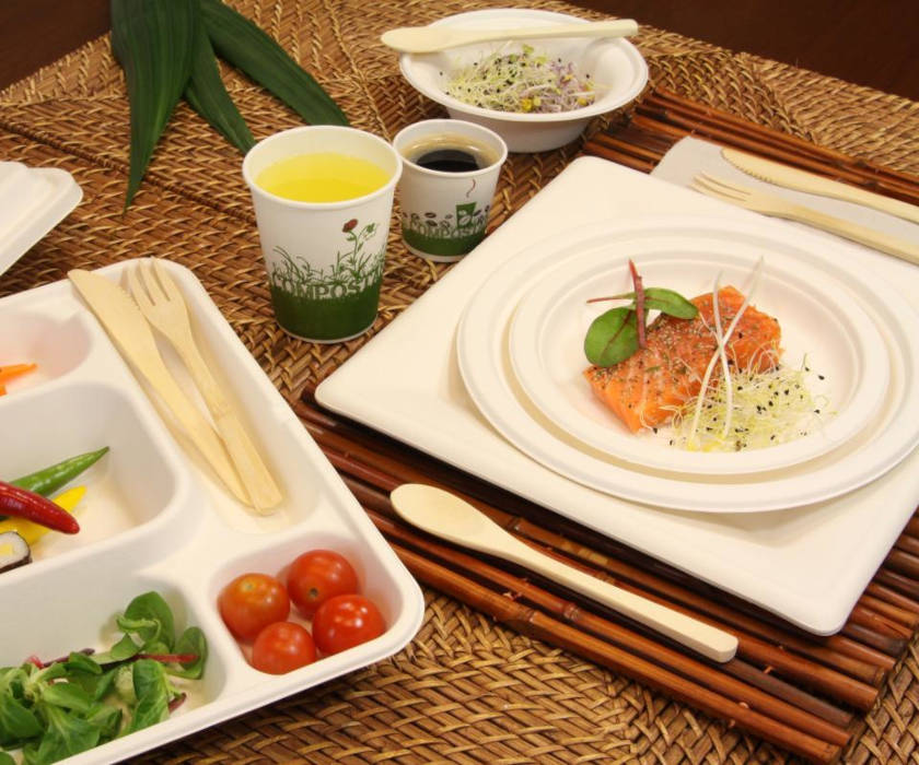 Teller Bagasse weiß quadratisch 260x260x14mm, 500 Stück