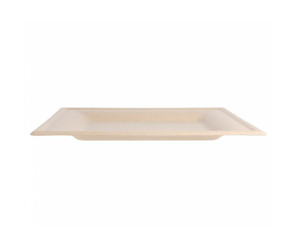 Teller Bagasse braun quadratisch 200x200x10mm, 10x50 Stück