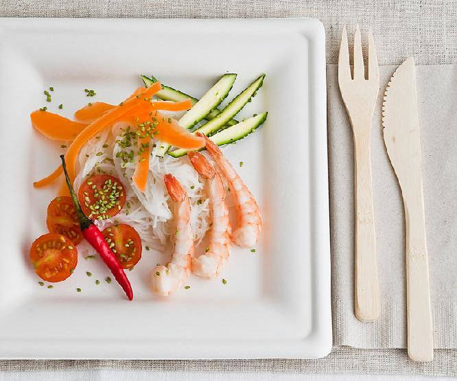 Teller Bagasse weiß quadratisch 200x200x10mm, 20x50 Stück