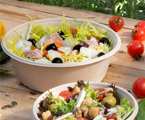 Salatschale Bagasse braun 900ml, 4x50 Stück