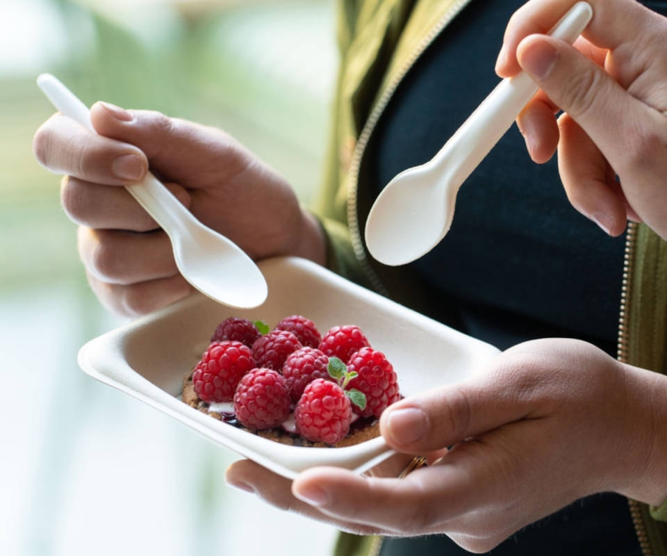 BEPULP Servierplatte quadratisch GRAB & GO 13x13cm, 6x50 Stück