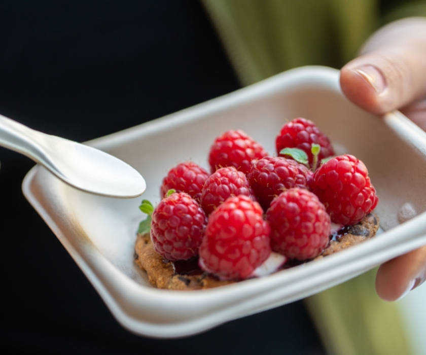 BEPULP Servierplatte quadratisch GRAB & GO 13x13cm, 6x50 Stück