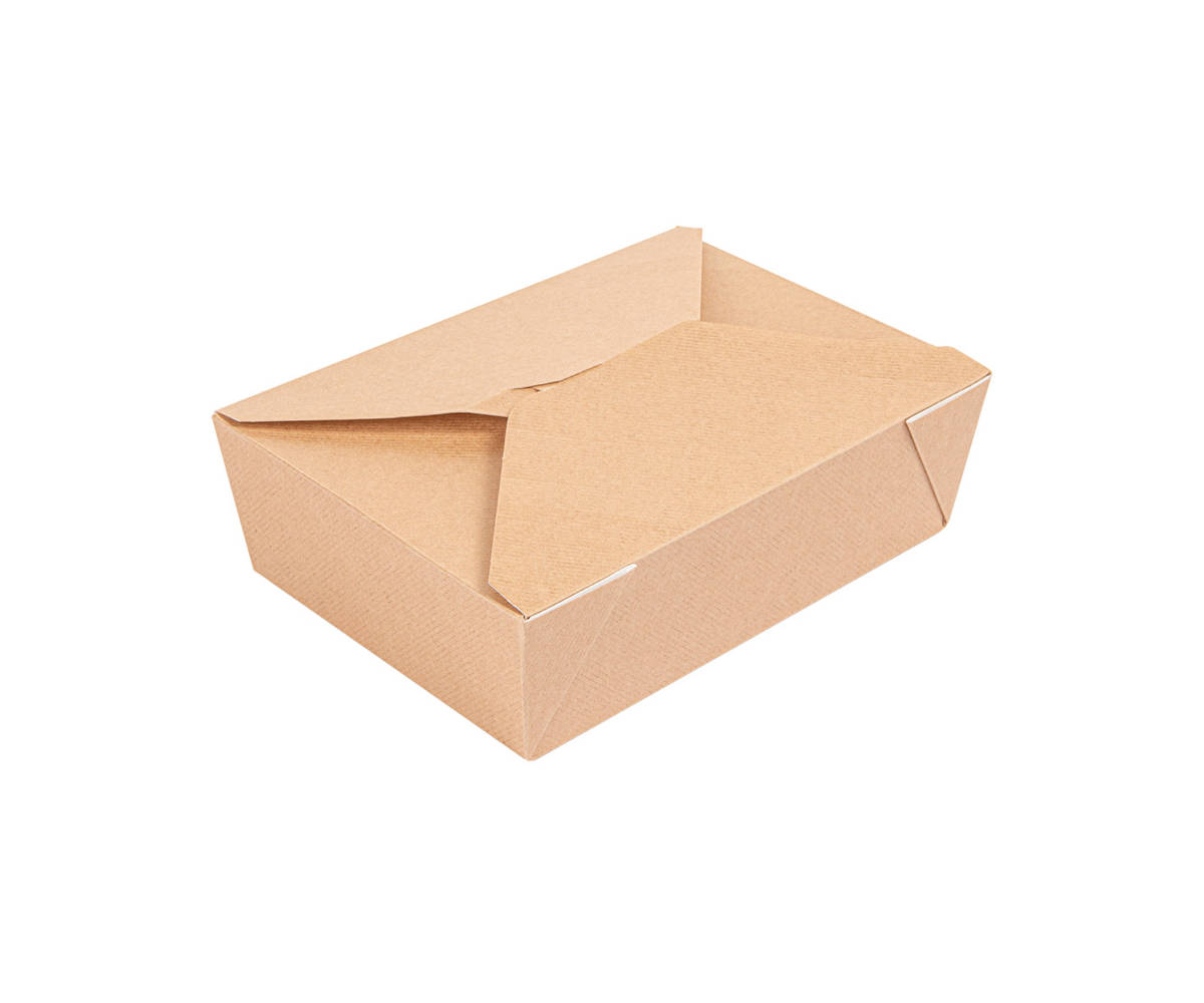 BioBox #3 aus Nano Wellkarton braun/innen weiß 196x140x62mm, 10x20 Stück