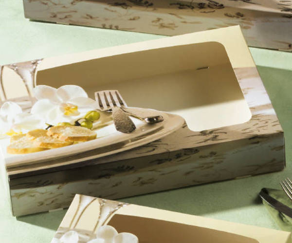 Transportkartons mit Sichtfenster medium 46x31x8cm, 80 Stück